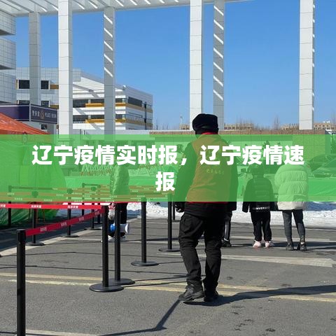 辽宁疫情实时报，辽宁疫情速报 