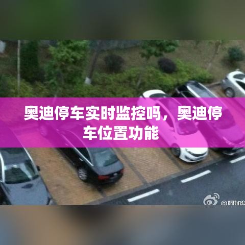 奥迪停车实时监控吗，奥迪停车位置功能 