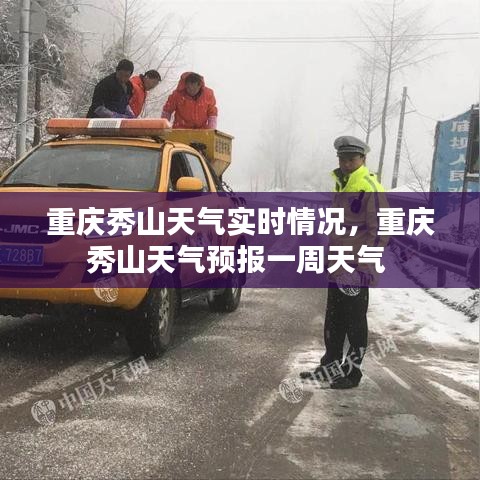 促销活动 第185页