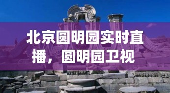 北京圆明园实时直播，圆明园卫视 