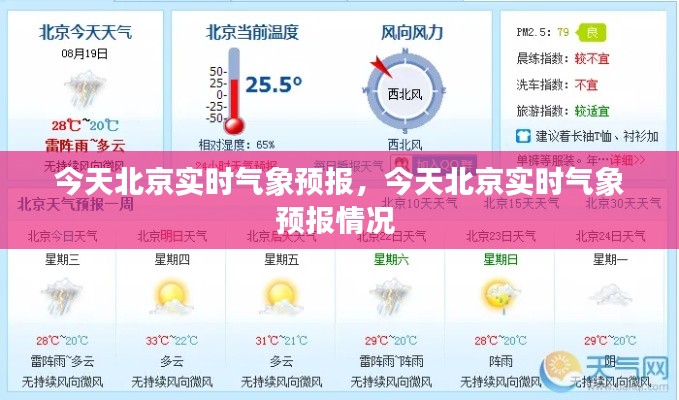 射飞逐走 第3页