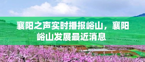 襄阳之声实时播报峪山，襄阳峪山发展最近消息 