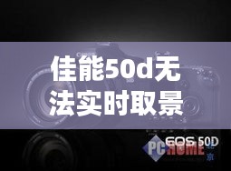 二手车交易 第181页