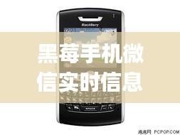 龙飞凤舞 第2页