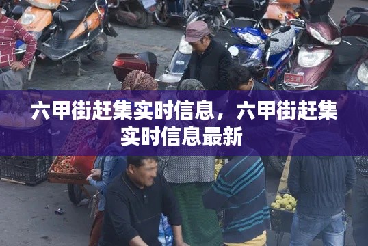 车主社区 第171页