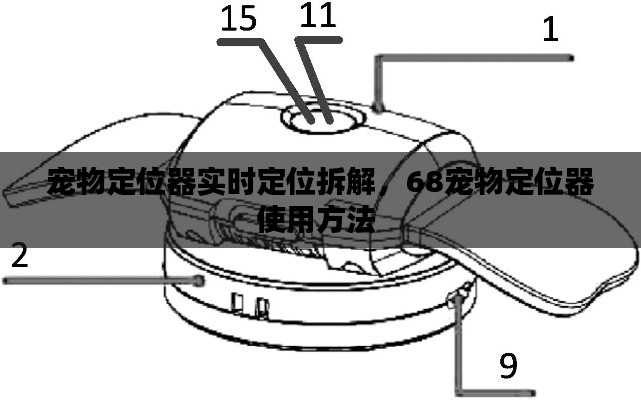 诚心诚意 第2页