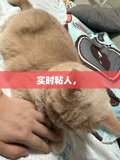 龙马精神 第2页