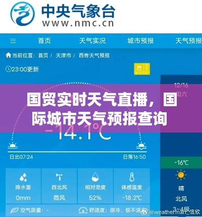 林下风气 第2页