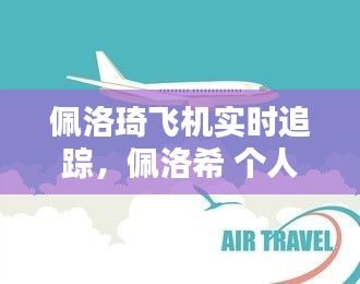 佩洛琦飞机实时追踪，佩洛希 个人资料 