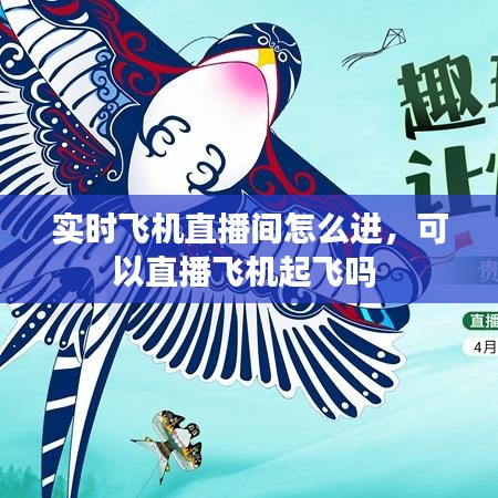 实时飞机直播间怎么进，可以直播飞机起飞吗 