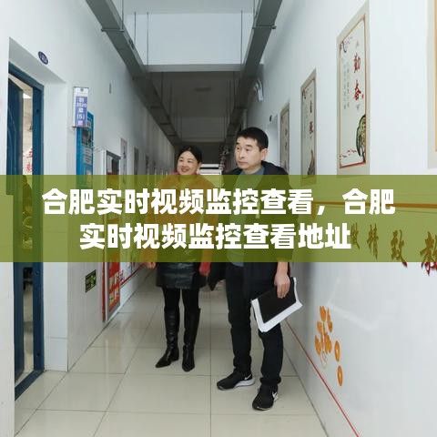 合肥实时视频监控查看，合肥实时视频监控查看地址 
