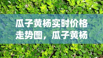 千里迢迢 第2页