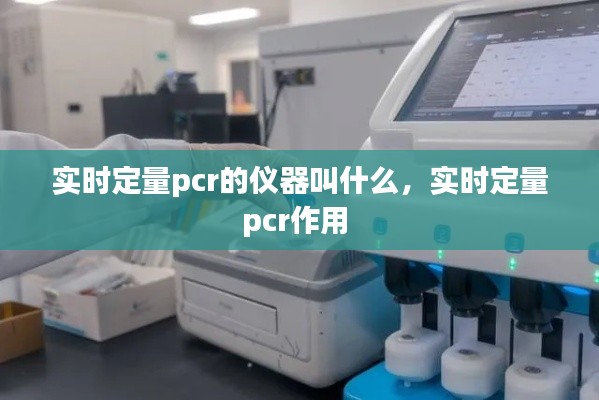 长安米贵 第2页