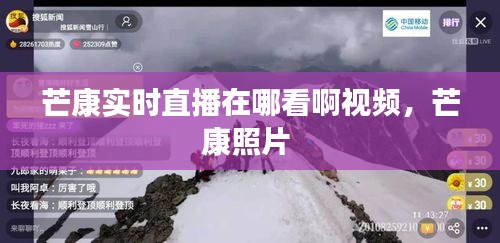 齿白唇红 第2页