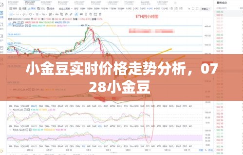 小金豆实时价格走势分析，0728小金豆 