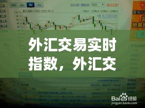 外汇交易实时指数，外汇交易实时指数查询 