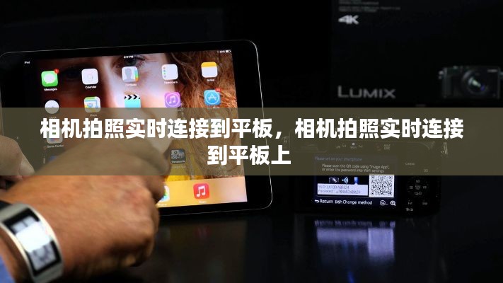 人前显贵 第2页