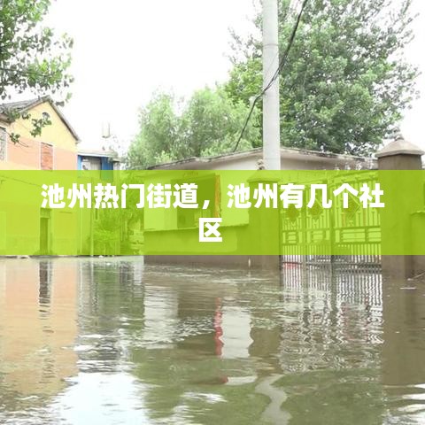 池州热门街道，池州有几个社区 