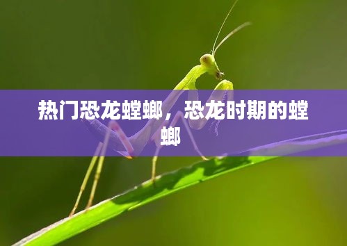 热门恐龙螳螂，恐龙时期的螳螂 