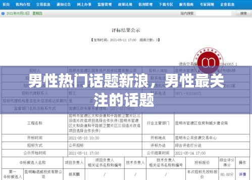 男性热门话题新浪，男性最关注的话题 