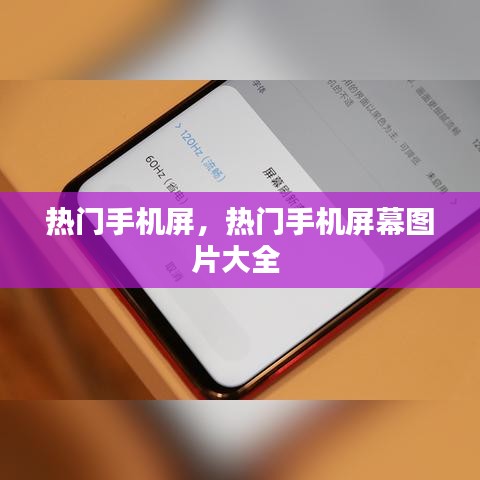 热门手机屏，热门手机屏幕图片大全 