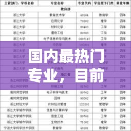 国内最热门专业，目前国内最热门的专业 