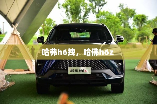 按部就班 第2页