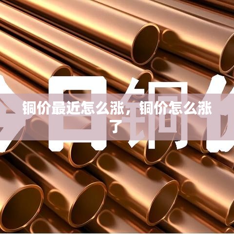 箭拔弩张 第2页