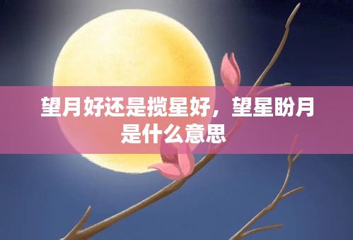 一石三鸟