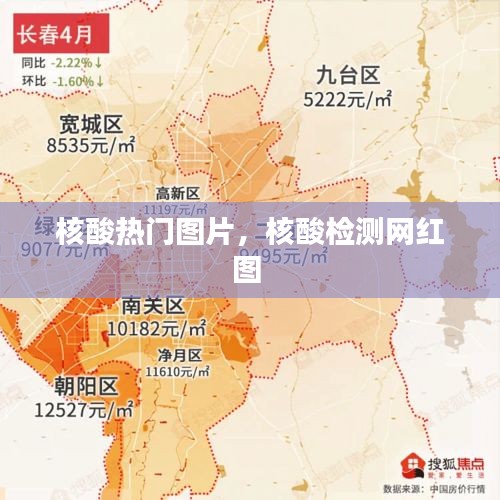 核酸热门图片，核酸检测网红图 