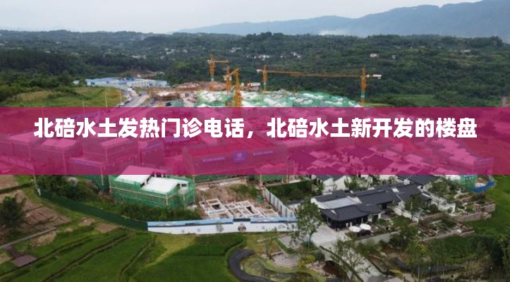 观往知来 第3页