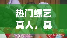 热门综艺真人，真人综艺节目系列 