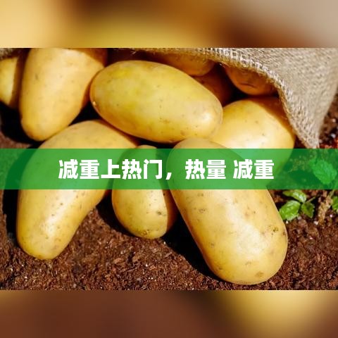 鸷鸟不群 第2页