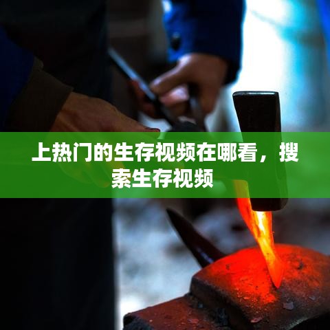 撺哄鸟乱