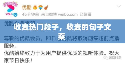 收麦热门段子，收麦的句子文案 