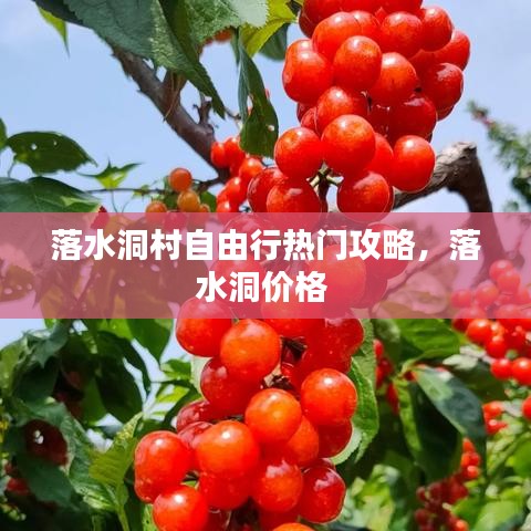 落水洞村自由行热门攻略，落水洞价格 