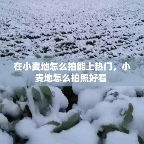 澹泊明志，宁静致远 第2页