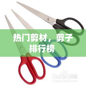 热门剪材，剪子排行榜 