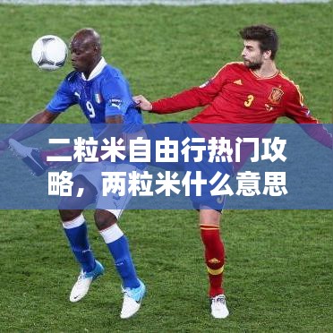 二粒米自由行热门攻略，两粒米什么意思 
