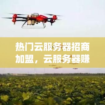 热门云服务器招商加盟，云服务器赚钱项目 