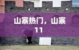山寨热门，山寨11 