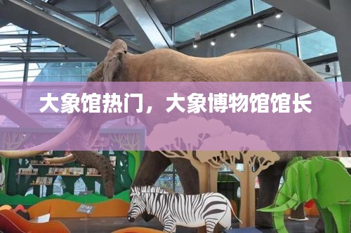 大象馆热门，大象博物馆馆长 