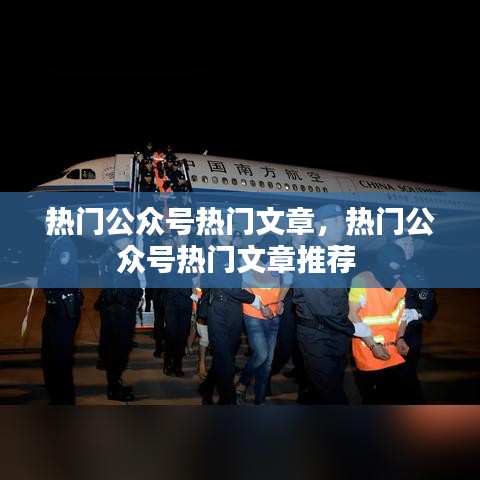 司空见惯 第2页