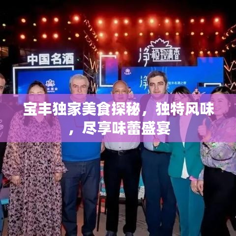 宝丰独家美食探秘，独特风味，尽享味蕾盛宴