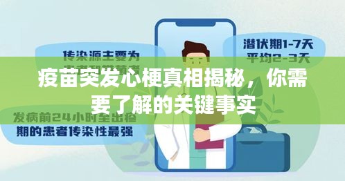 疫苗突发心梗真相揭秘，你需要了解的关键事实