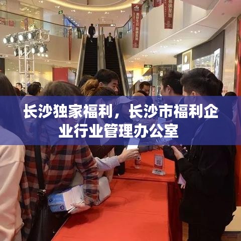 长沙独家福利，长沙市福利企业行业管理办公室 