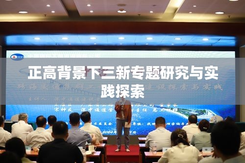 正高背景下三新专题研究与实践探索