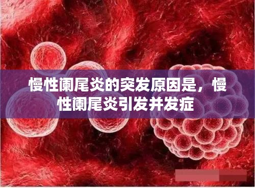 张飞穿针 第2页