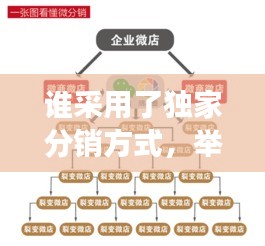 谁采用了独家分销方式，举例说明采用独家分销的产品 
