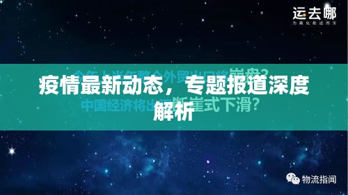 疫情最新动态，专题报道深度解析
